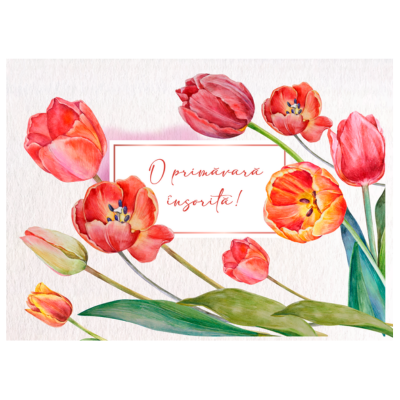 Felicitare cu lalele rosii